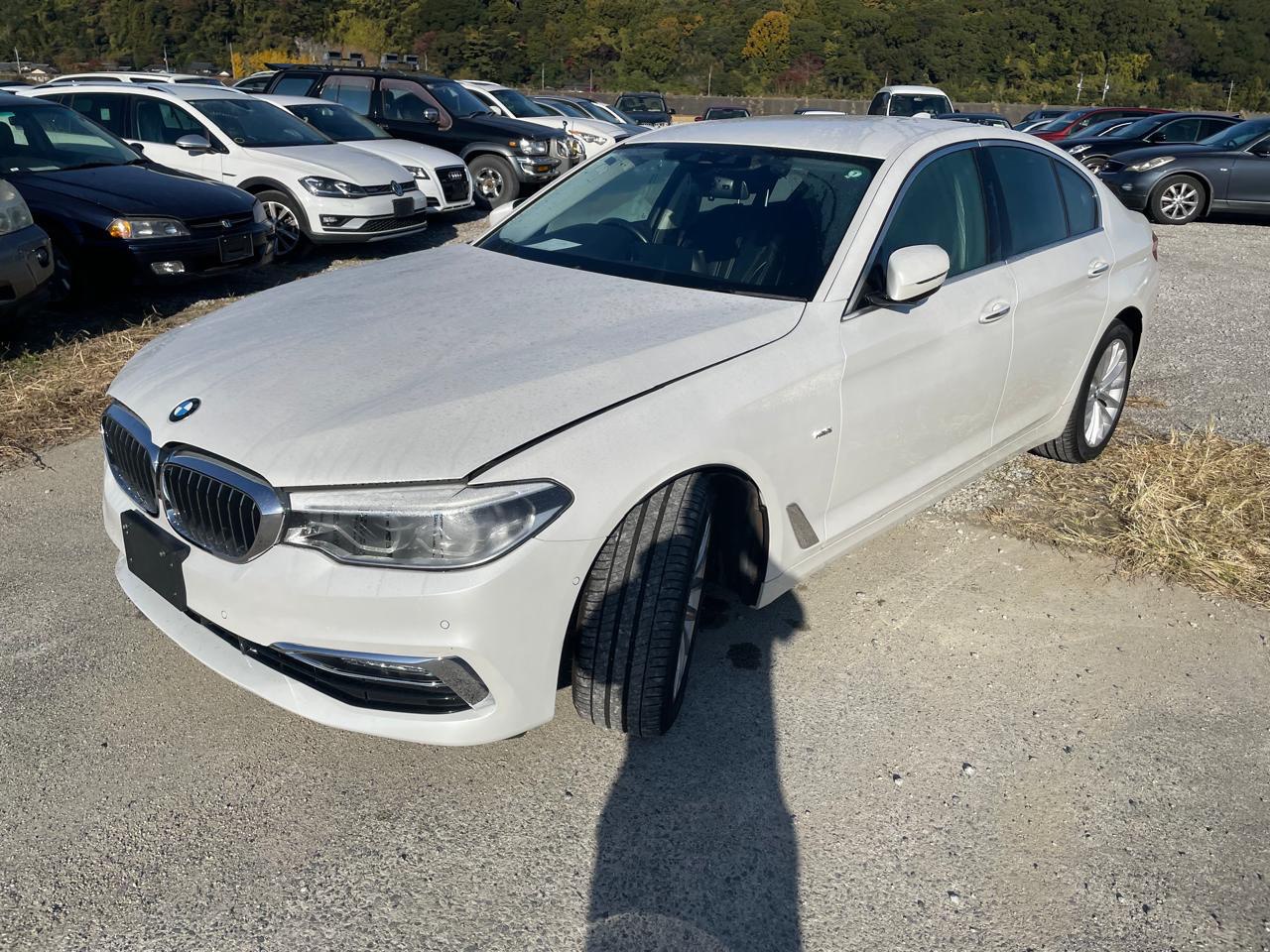 BMW 530i G30 B48B20B 2018